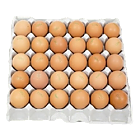 대란)계란30구